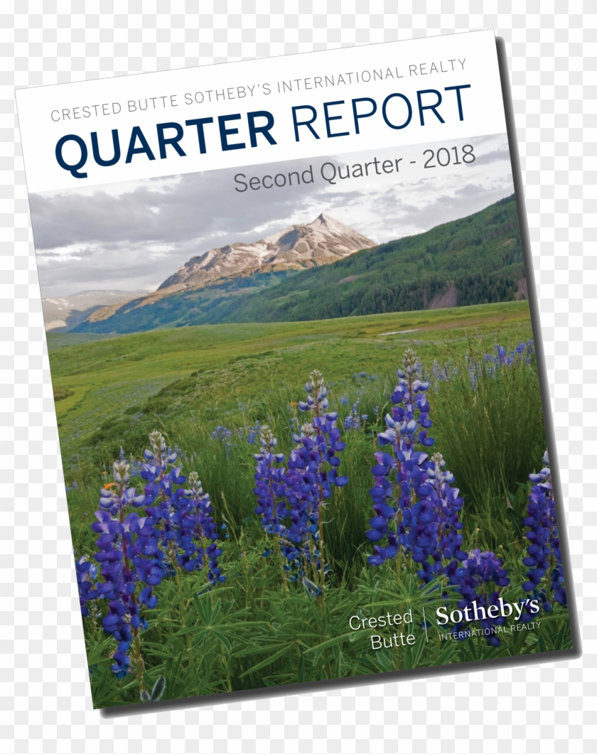 Second Quarter Real Estate Market Report For - Texas Bluebonnet Clipart