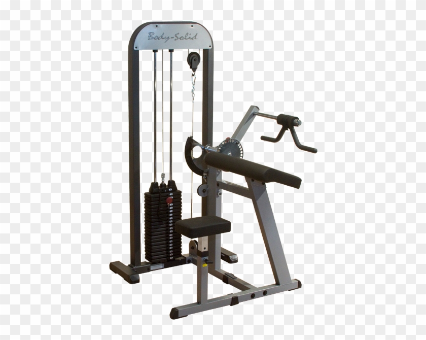 Body Solid Gcbt Stk Pro Select Biceps & Triceps Machine - Biceps And Triceps Machine Clipart #5230721
