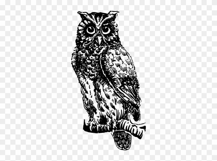 Great Horned Owl Bird Black And White Owl Animal - Coruja No Galho Desenho Png Clipart #5230753