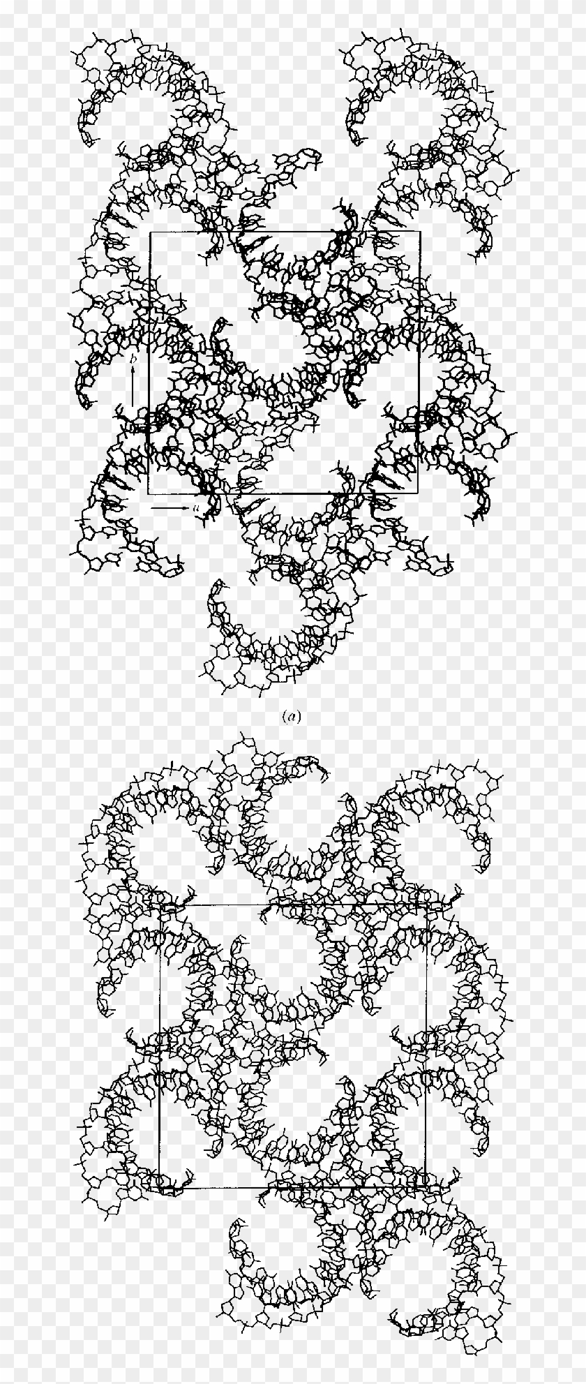Packing Diagrams Looking Down The C Axis For D(g 4 - Illustration Clipart #5231212