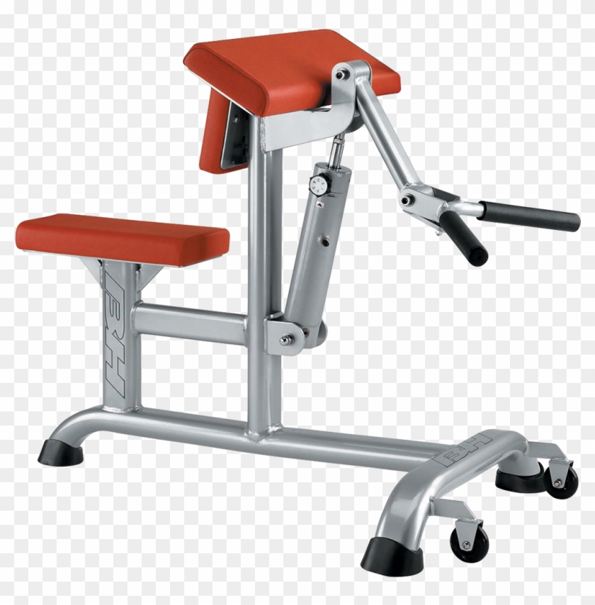 Biceps And Triceps - Maquina De Biceps Clipart #5231214