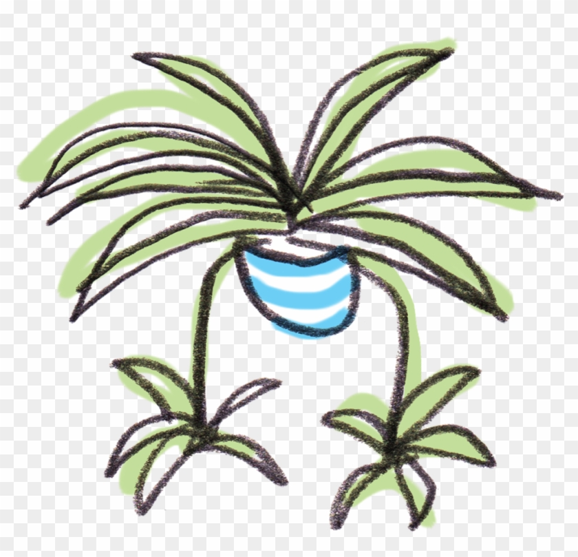 House Plant Png - Spider Plant Cartoon Clipart #5231359