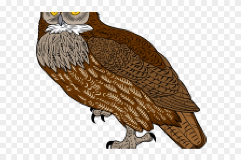 Great Horned Owl Clipart Front - Screech Owl - Png Download #5231366