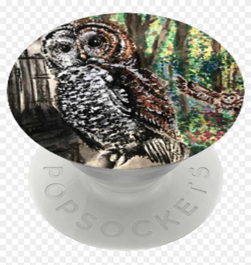 Save The Endangered Owls, - Screech Owl Clipart #5231605