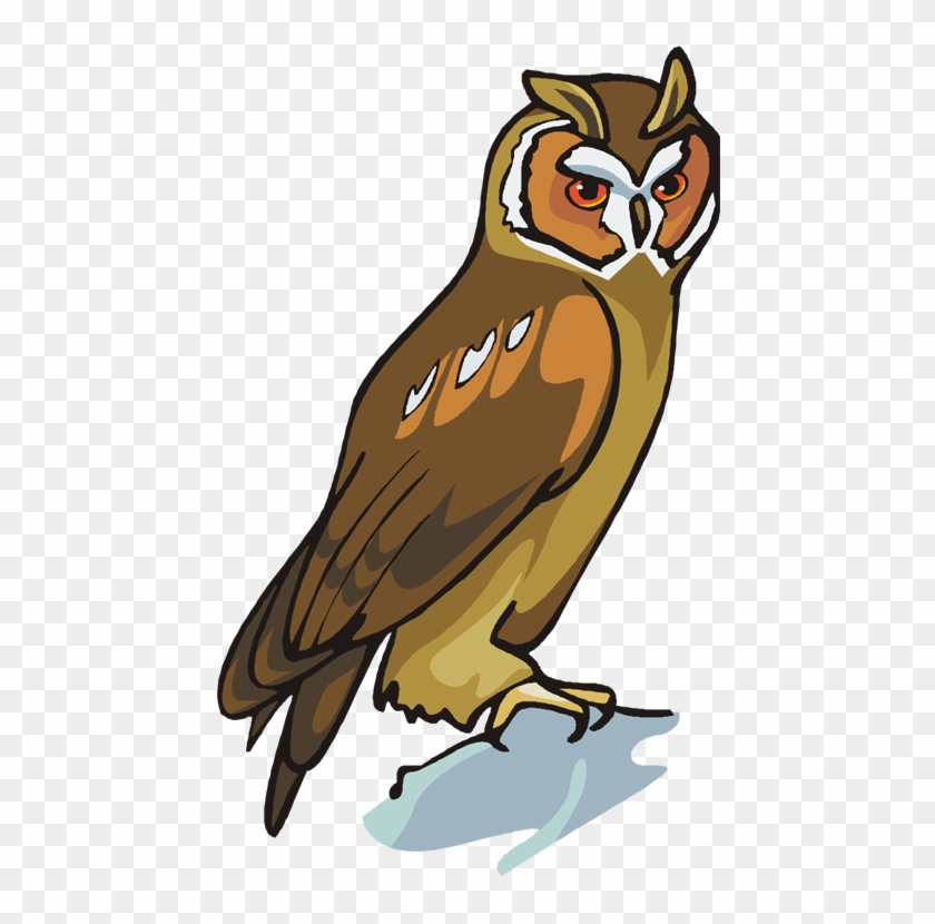 Great Horned Owl Clipart Colour Print - Owl Clipart - Png Download #5231756