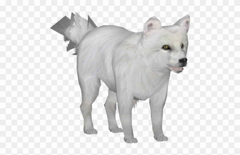 Arctic Fox Transparent Image - Arctic Fox Transparent Clipart