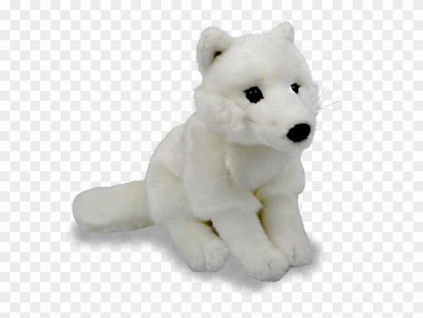 Artic Fox Animal Transparent Png Images Free Download - Teddy Bear Clipart #5232261