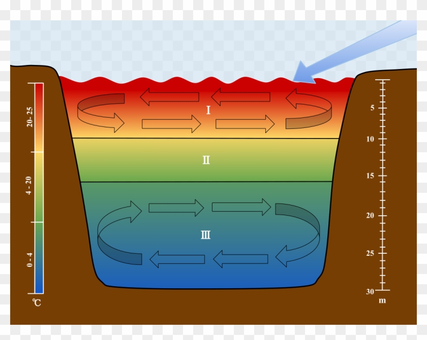 Thermocline - Lake Stratification Clipart #5232654