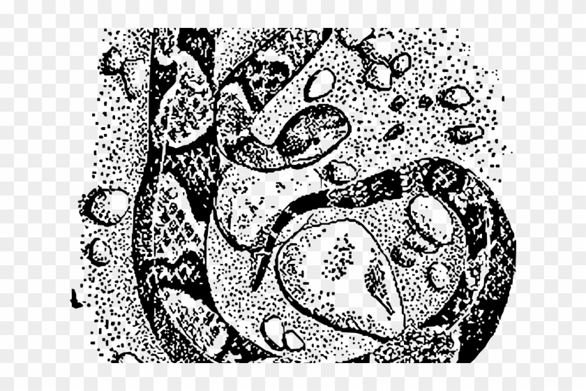 Snake Clipart Copperhead - Snakes - Png Download #5232899