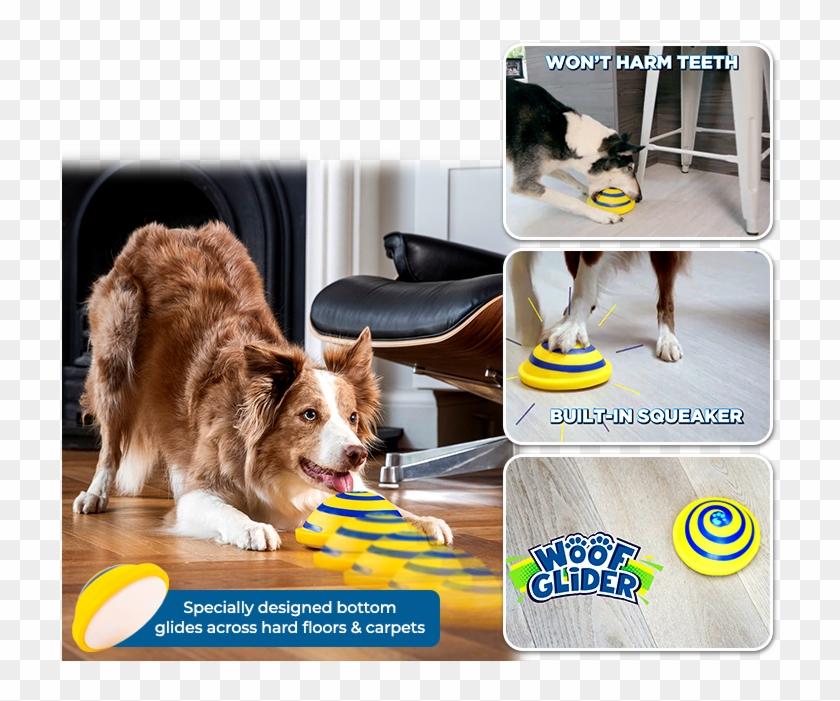 Dog Catches Something , Png Download - Dog Catches Something Clipart
