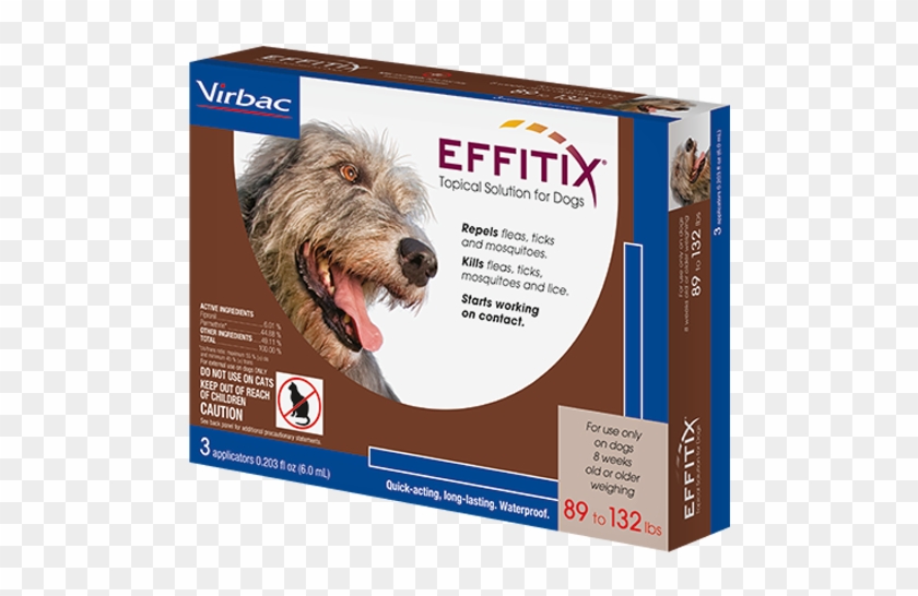 Extra Large - Companion Dog Clipart #5234325