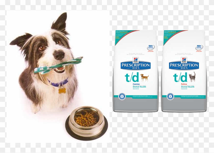 Dental Cleaning Under Anesthetic - Hills Dental Dog Clipart