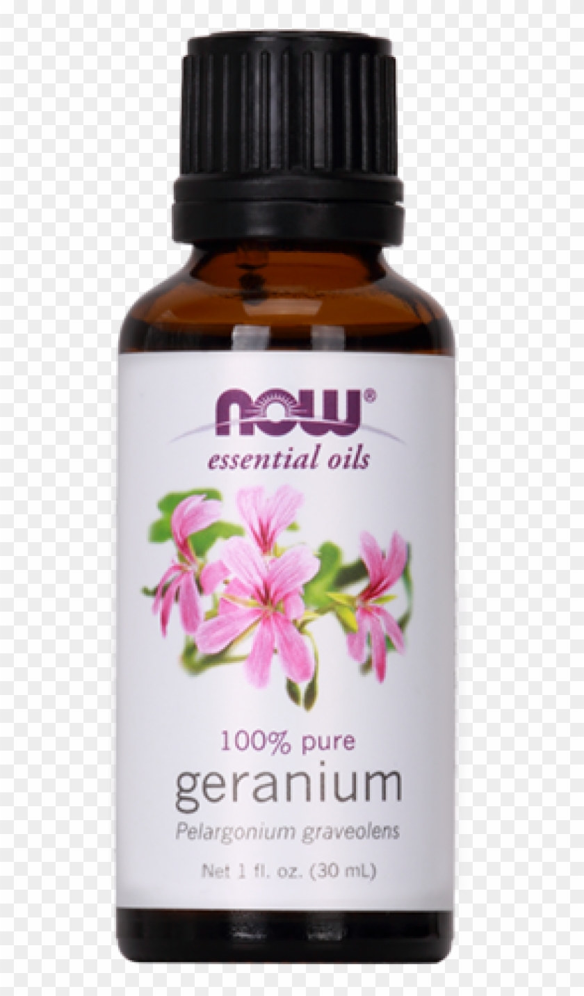 Geranium Aromatherapy - Jasmine Now Essential Oil Clipart #5235777