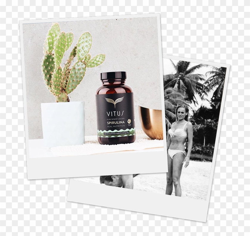 Sean Connery & - Cosmetics Clipart