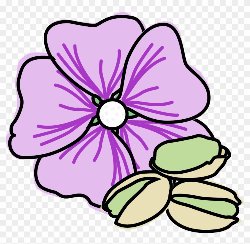 Rose Geranium And Pistachio Ice Cream - Pistache Clipart - Png Download #5236105