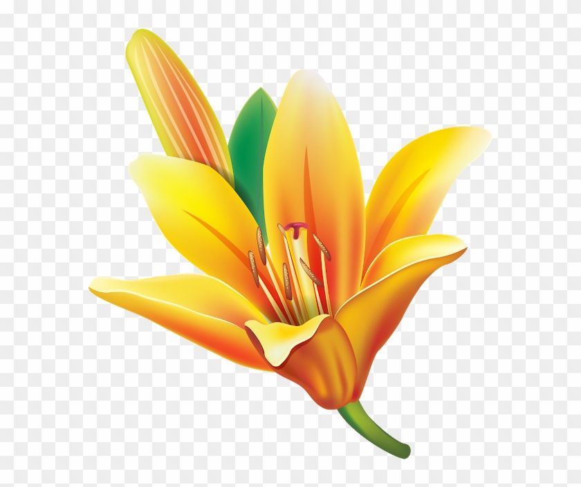 Art Flowers, Flower Art, Lotus Flower, Art Images, - Lily Clipart