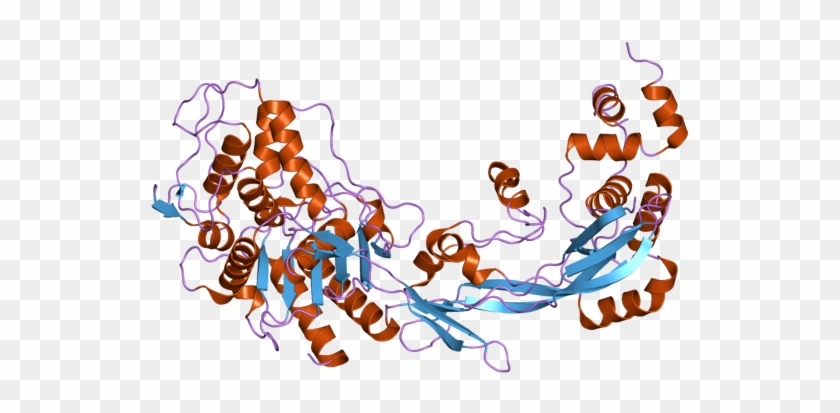 Pdb 2wae Ebi - Graphic Design Clipart