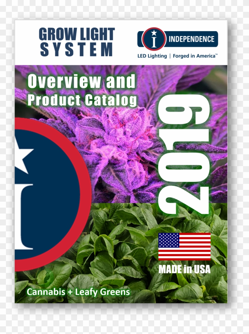 Future Food Film - Verbena Clipart #5238707