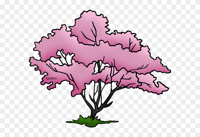 Transparent Tree Dogwood - Flowering Dogwood Tree Clipart - Png Download