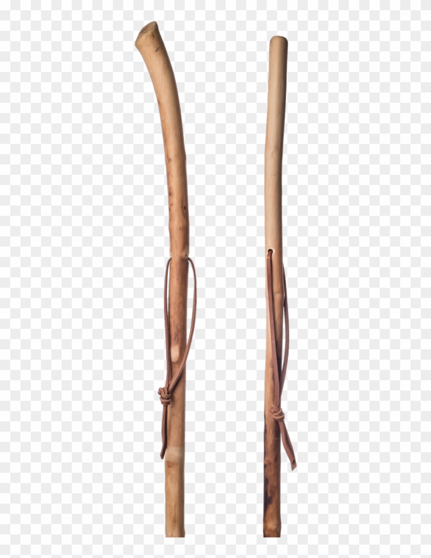 Dogwood Tree Walking Stick 160cm - Dog Wood Walking Sticks Clipart #5238963