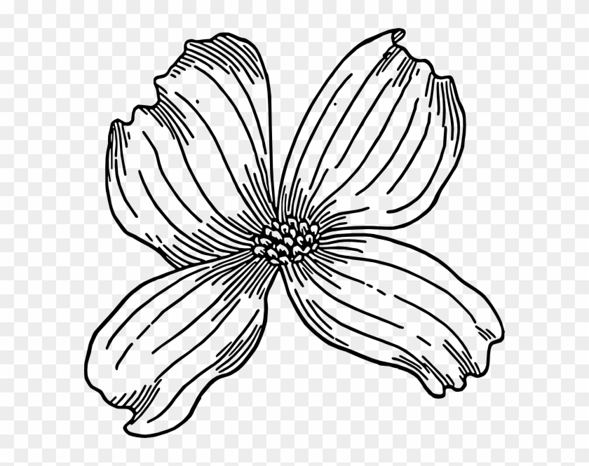 Dogwood Tree Cliparts - Dogwood Clip Art - Png Download #5238991
