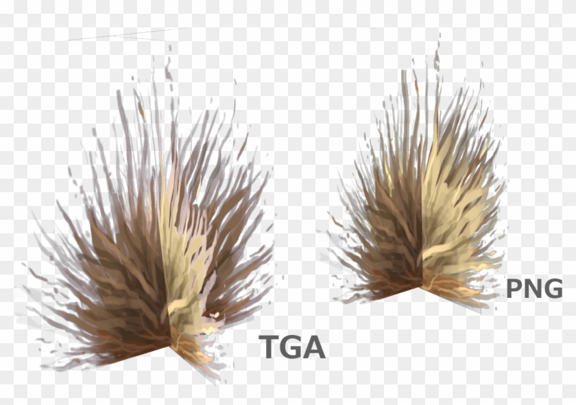 But Even After That The Texture Wasn't Looking Quite - Agave Clipart #5239066