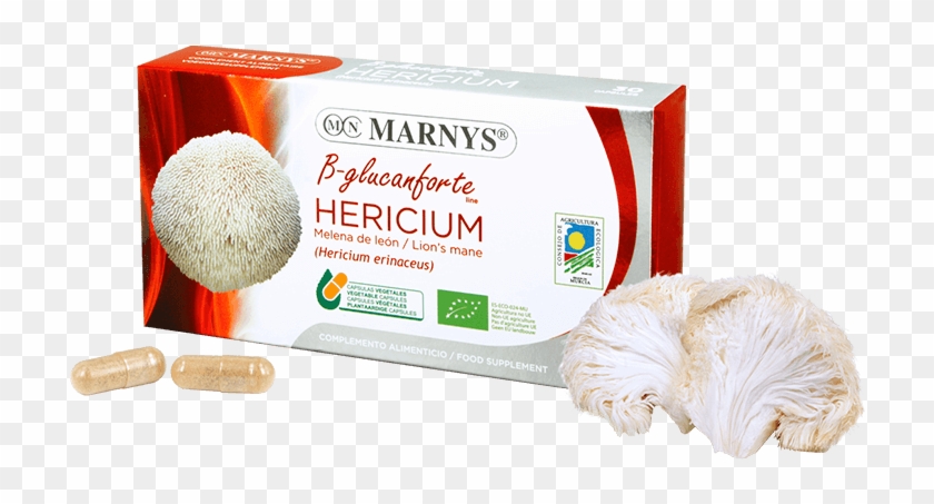 Organic Lion's Mane Hericium - Reishi Shiitake Maitake Clipart #5239449