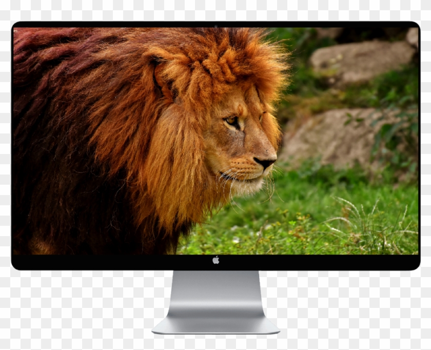 Wolf On A Cliff Clipart #5239491