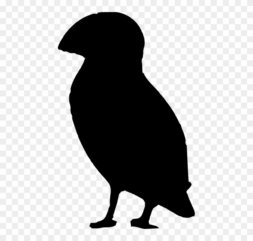 Bird Puffin Silhouette - Puffin Silhouette Png Clipart