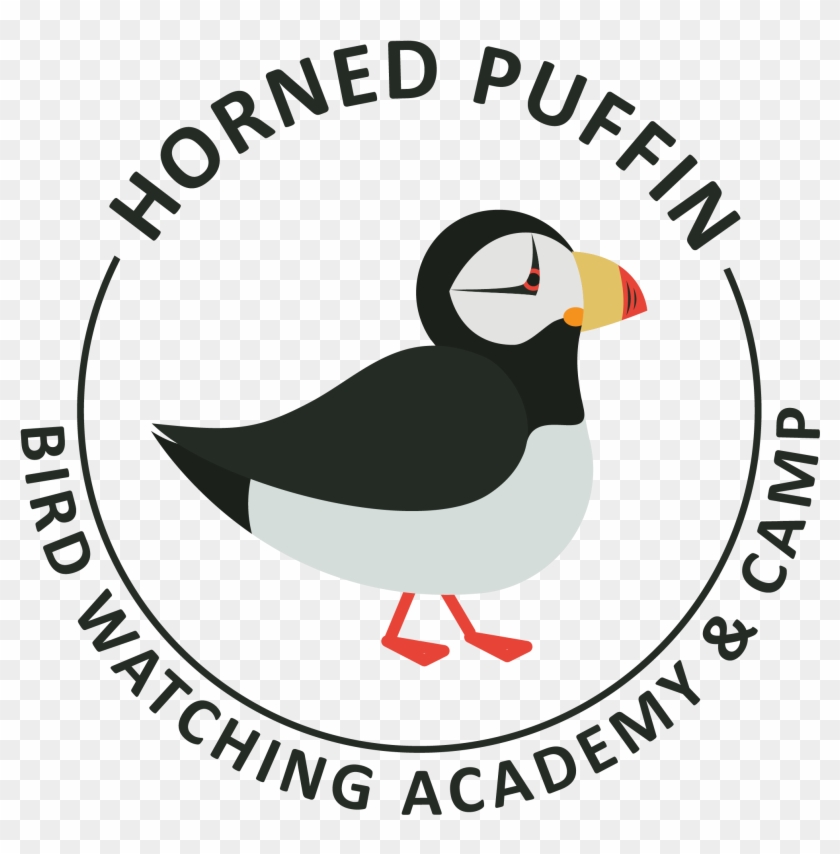 Horned Puffin - Nafta Clipart #5239716