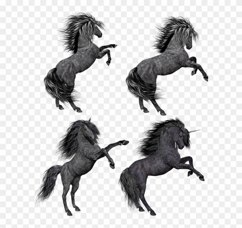 Pony, Horse, Unicorn, Mare, Stallion, Rear, Rearing - Horse Clipart #5239973