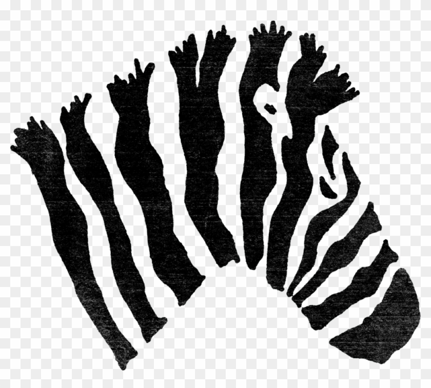 Zebra Head Png Clipart
