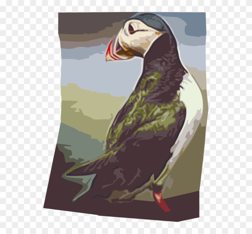 Vector Illustration Of Icelandic Pelagic Seabird Puffin - Atlantic Puffin Clipart