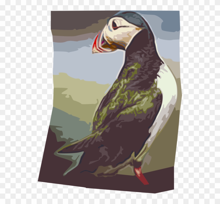 Vector Illustration Of Icelandic Pelagic Seabird Puffin - Atlantic Puffin Clipart #5240158