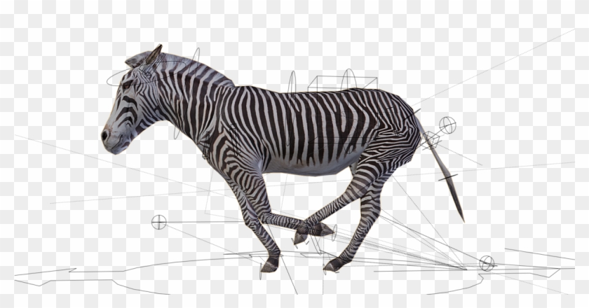 Previous - Next - Quagga Clipart