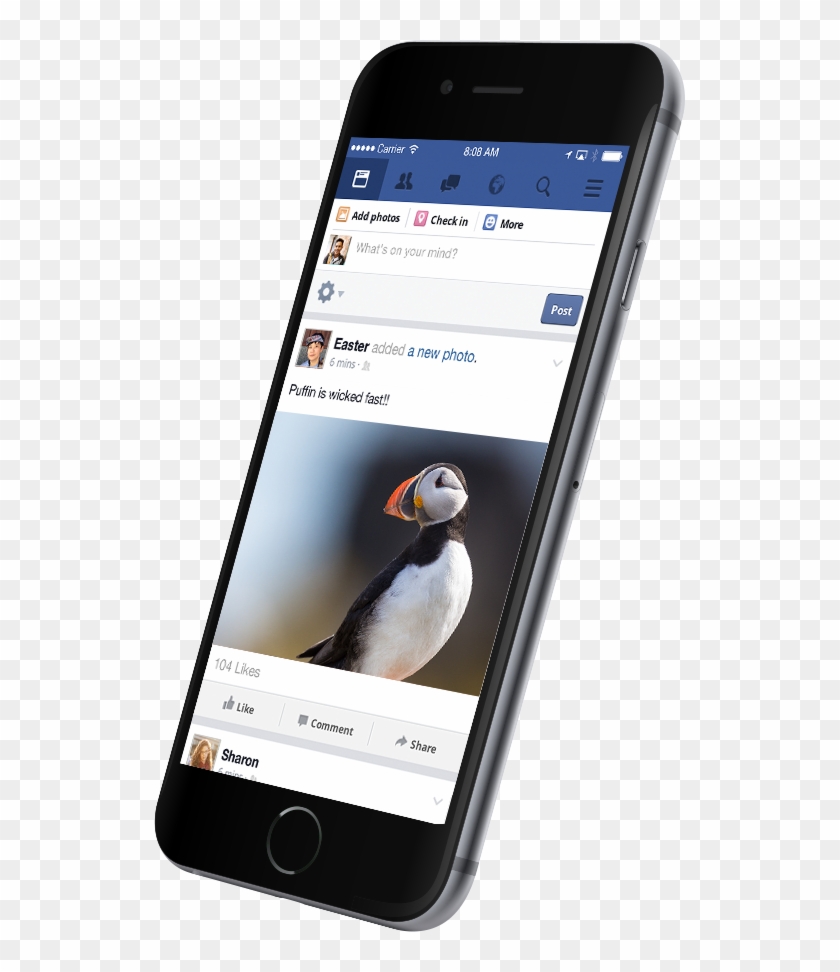 Download Now - Atlantic Puffin Clipart #5240346