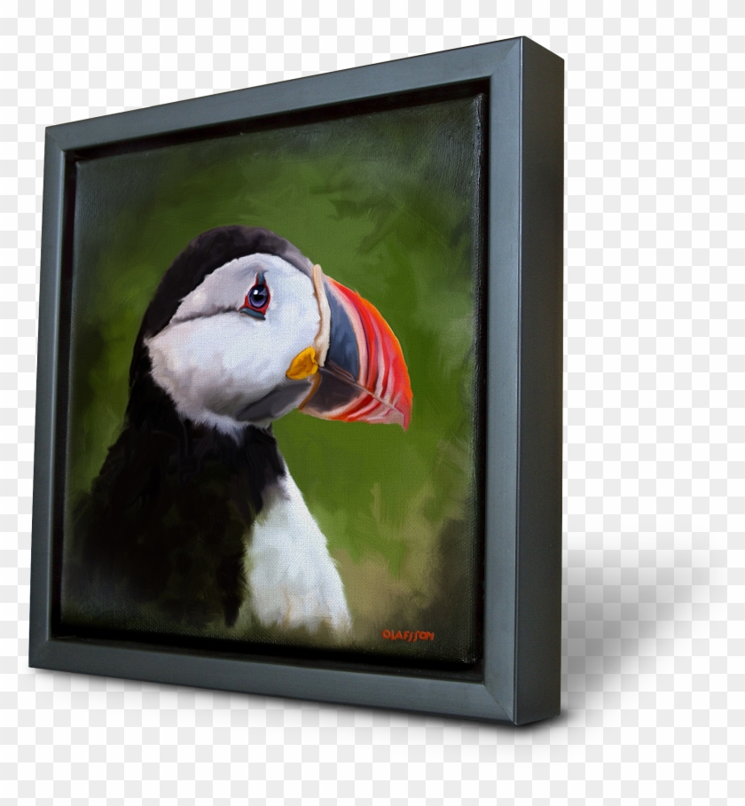 Lundi - Atlantic Puffin Clipart