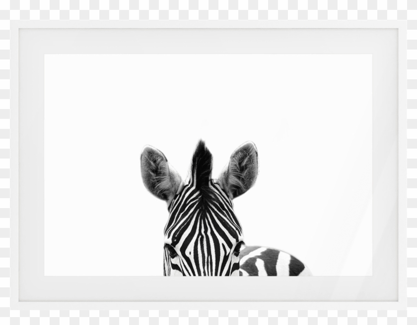 Previous - Picture Frame Clipart #5240849