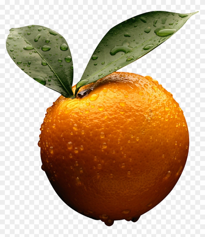 Orange - Orange - Frank Wood Business Accounting Clipart #5241480