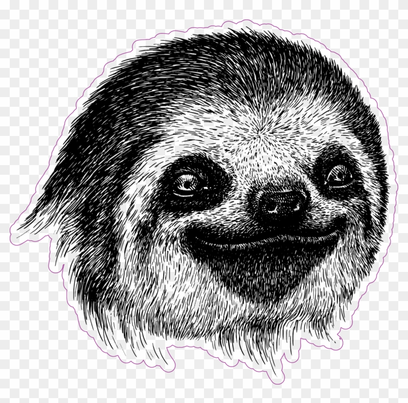 Smiling Engraved Sloth Face Sticker - Sloth Face Drawing Clipart