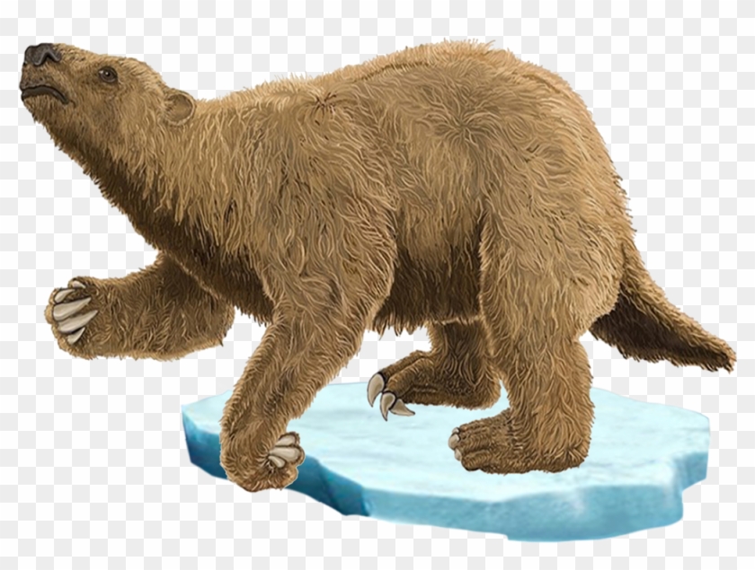Megatherium - Grizzly Bear Clipart #5244499