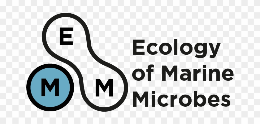 Emm - Graphic Design Clipart #5244657