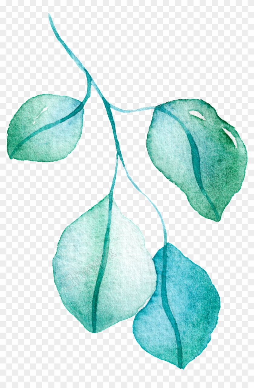 Green Branch Leaf - Drawing Clipart #5245951
