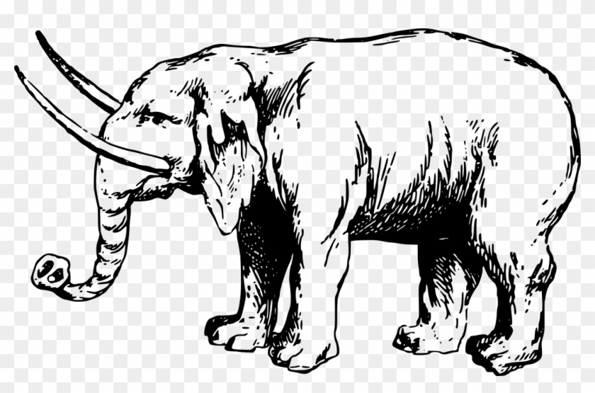 Ancient Elephant Drawing Clipart