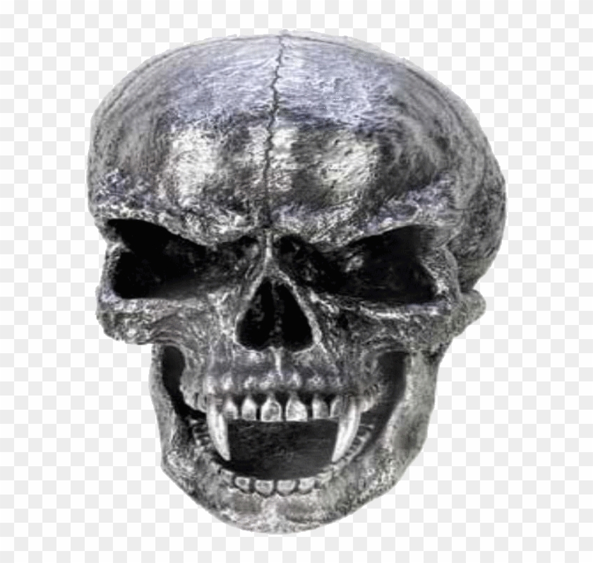 Photo - Skull Clipart #5250627