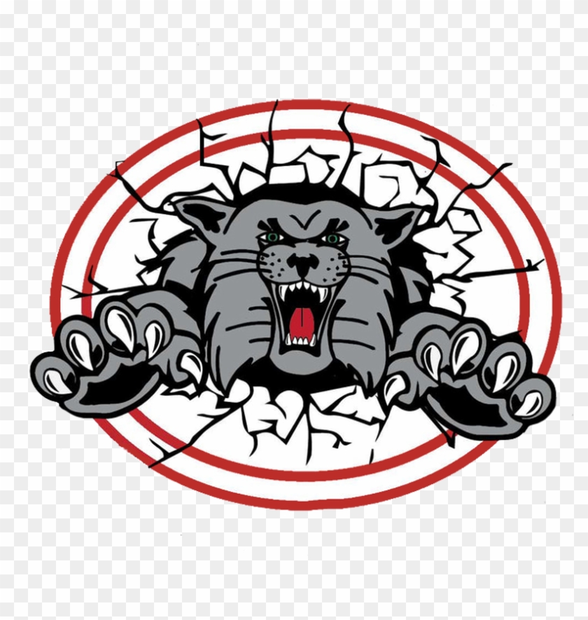 Canton South Wildcats - Canton South High School Wildcat Clipart