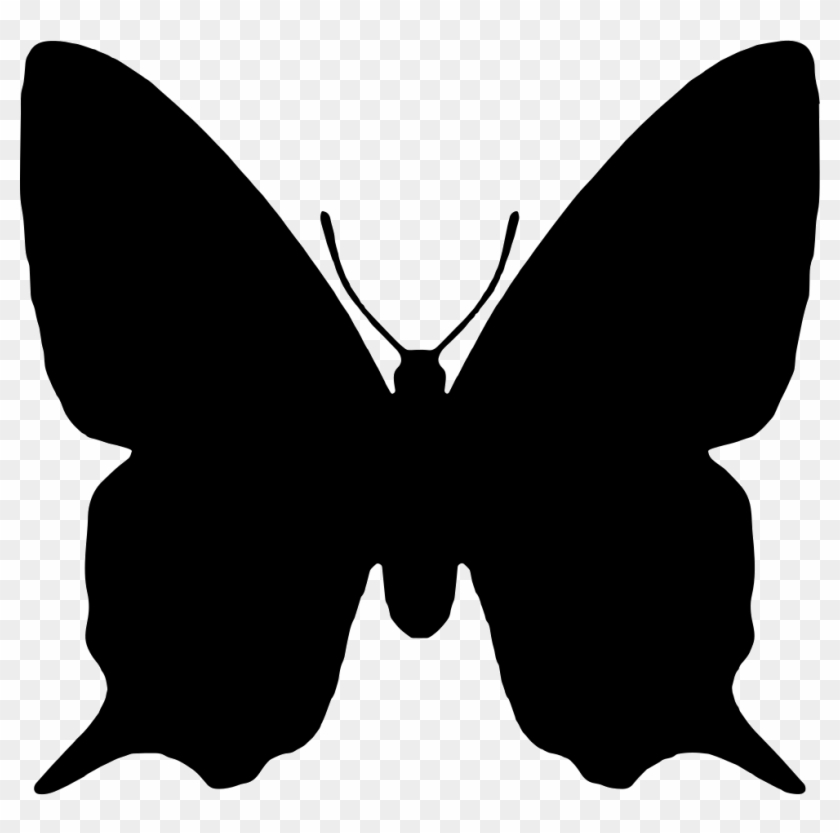 Insect Animal Shape - Animals Shape Clipart