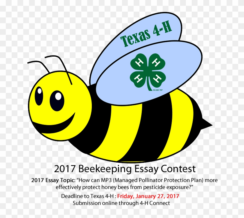 Tvmdl Coloring, Art, And Photography Contest For Texas - Clip Art Transparent Background Bee - Png Download