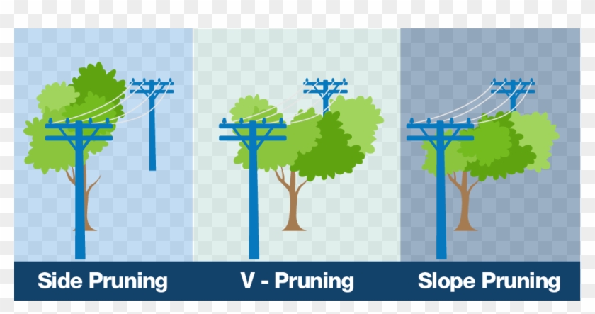 Illustration Clipart