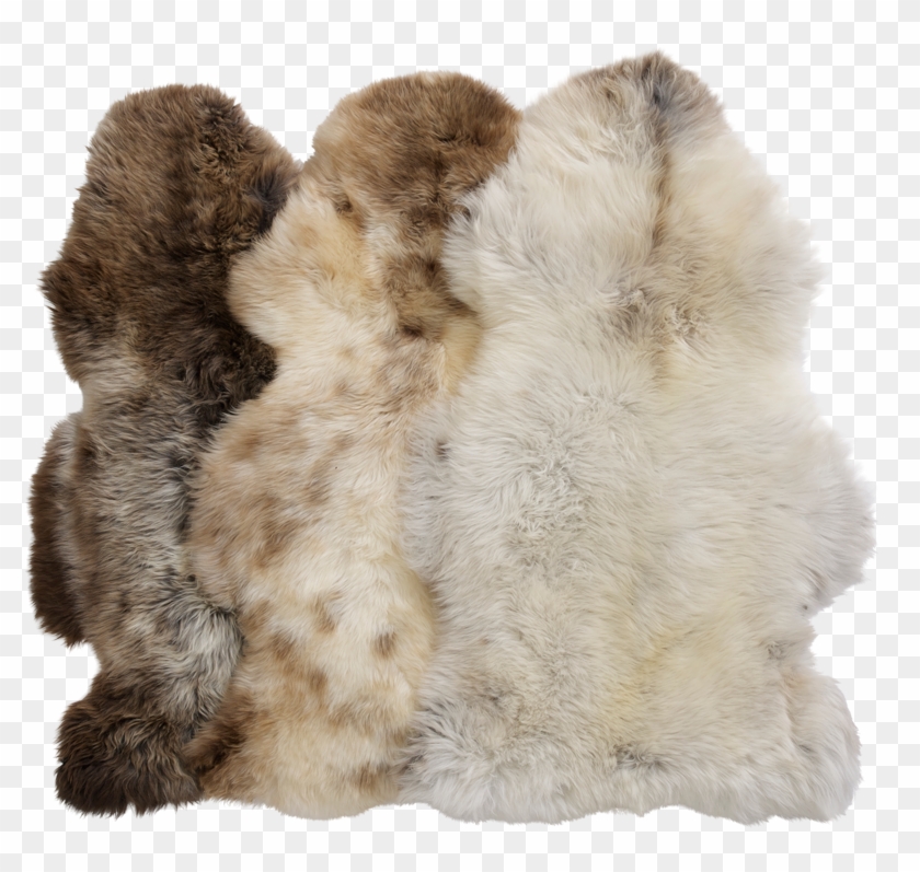 Big Dutch Silky Sheepskin - Fur Clothing Clipart #5253527
